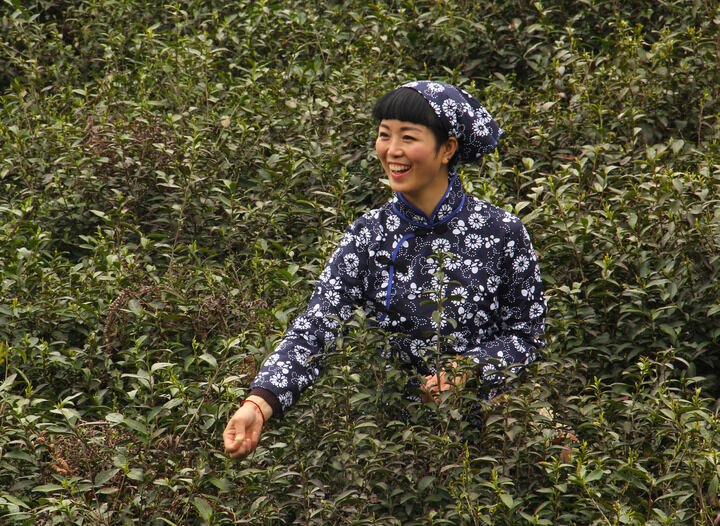 伊人淫app直播 热门10